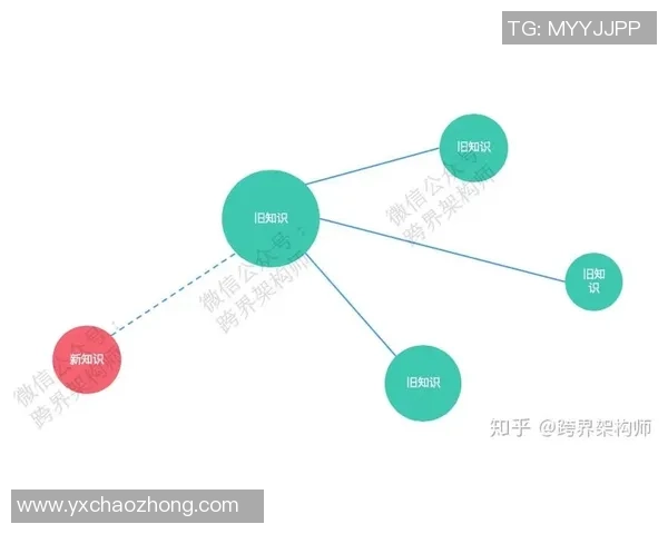 李静独家揭秘羽毛球技巧与心得分享助你提升球技的秘密之道